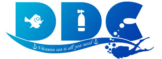 ddcmorocco.com