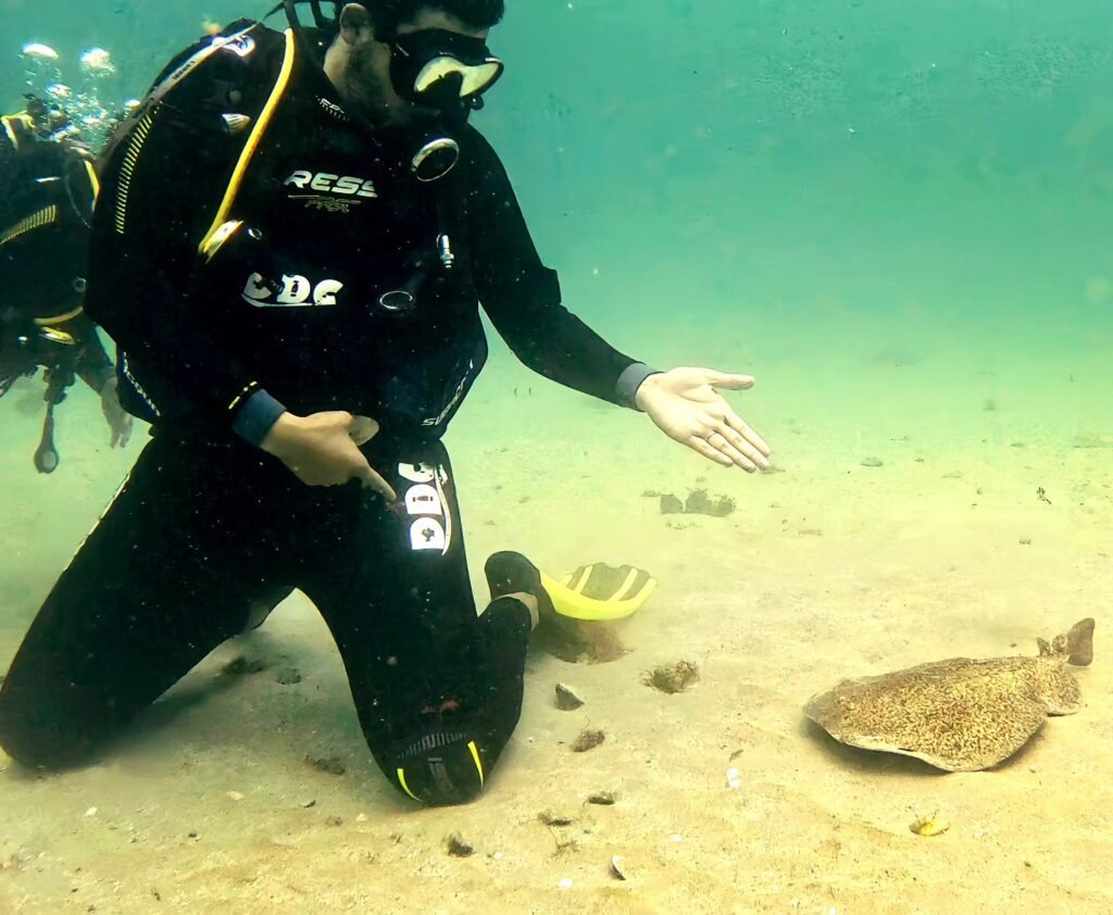 Diver kneeling on the sand during a training exercise